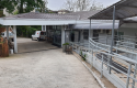 Posto Central - Angeli (2)